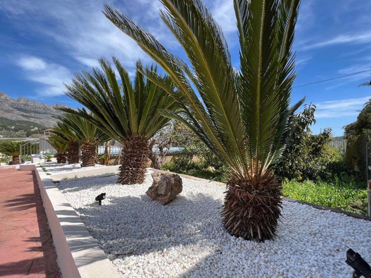 Casa Rural Altaret Callosa de Ensarriá Exteriér fotografie