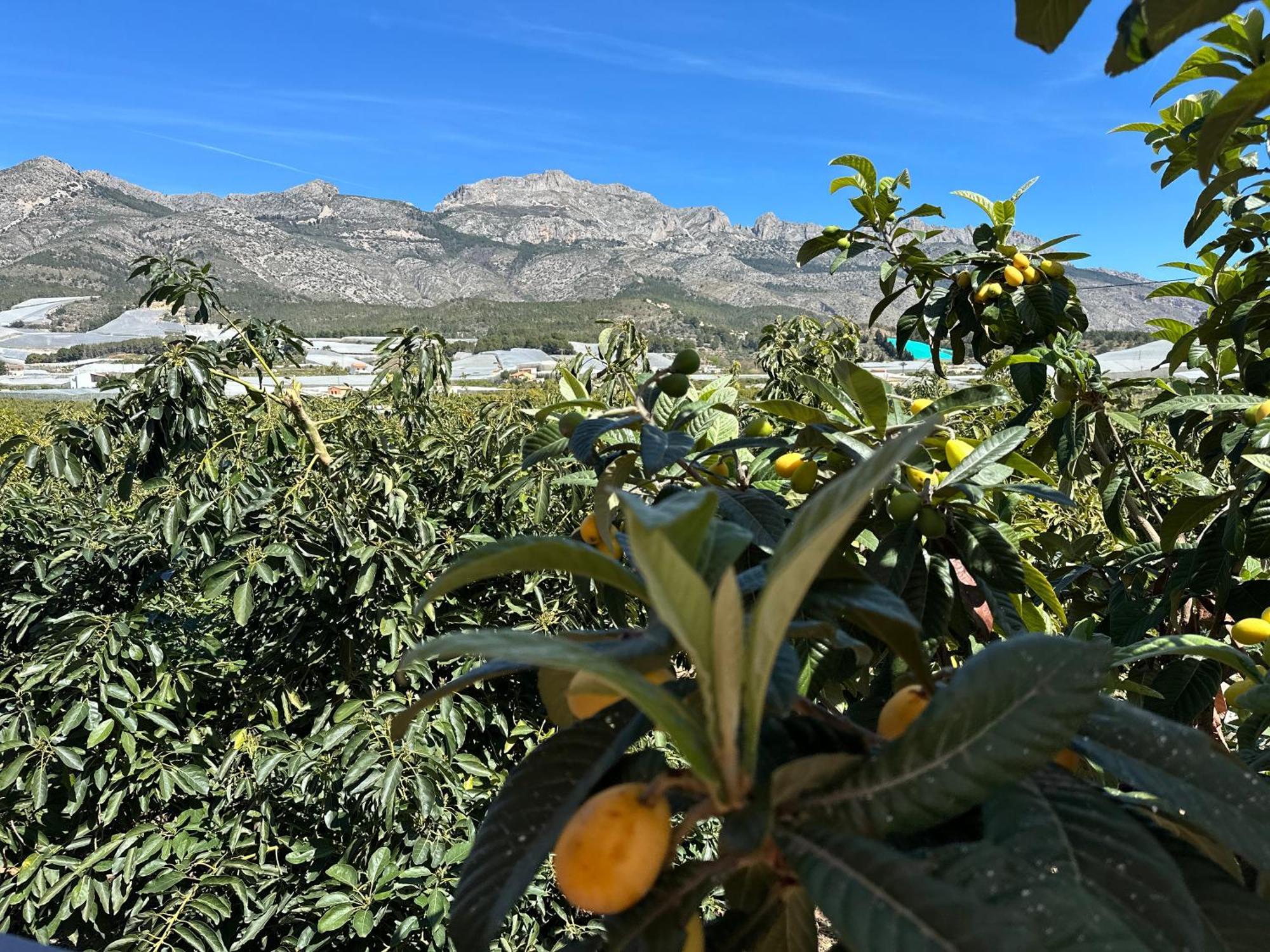 Casa Rural Altaret Callosa de Ensarriá Exteriér fotografie